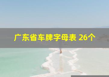 广东省车牌字母表 26个